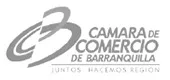 CCB (1)