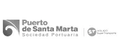 Logo-Puerto-gris